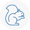 Blackwood Rodent Removals